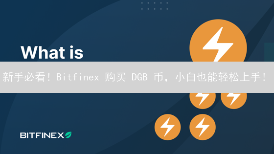 新手必看！Bitfinex 购买 DGB 币，小白也能轻松上手！