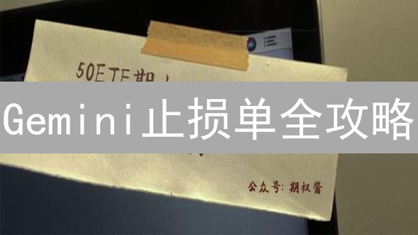 Gemini止损单全攻略：如何防止加密货币暴跌？