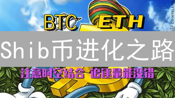 Shib币进化之路：如何摆脱Meme标签，打造实用加密生态？