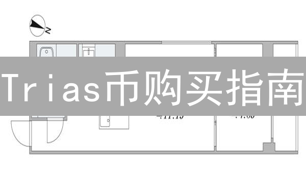 Trias币购买指南：新手必看！掌握技巧，轻松入场！